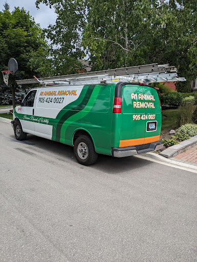 Review Image of Chris Wright